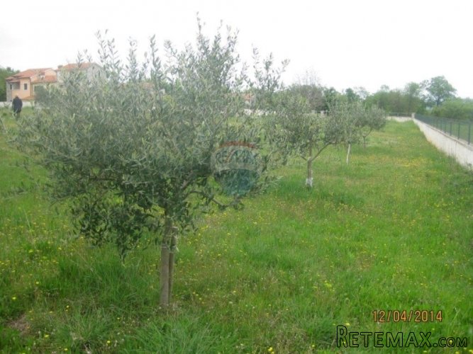Istarska kuća s velikom okućnicom - 2