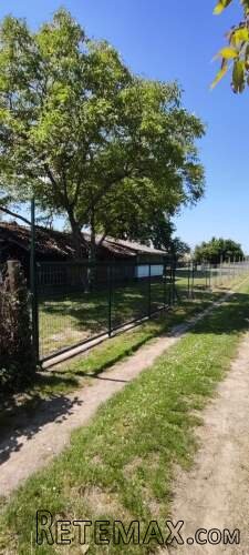 Prodajem plac Novi Sad-Veternik - 7