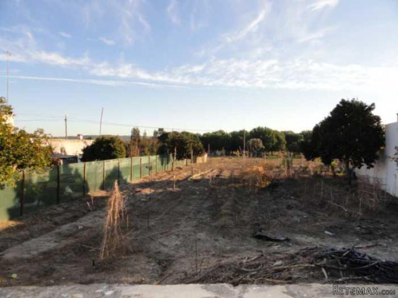 Land For Sale - Santarem