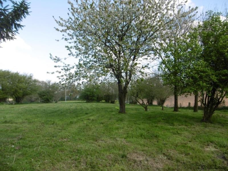 Fine Detached Country House - 2