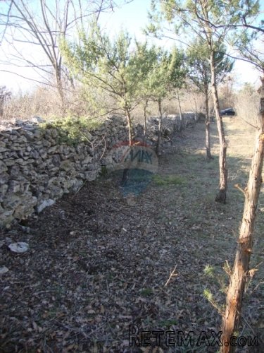 ISTRA, VODNJAN, poljoprivredno zemljište u mirnom okruženju - 2