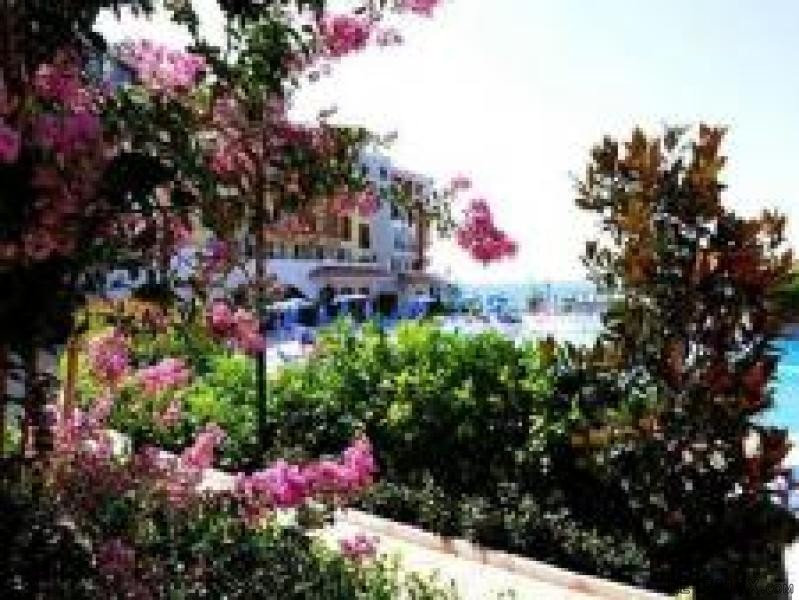 Spacious apartment on the first sea.. - 2