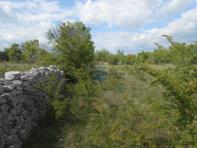 Istra, Vodnjan, Čabrunići, poljoprivredno zemljište - 5