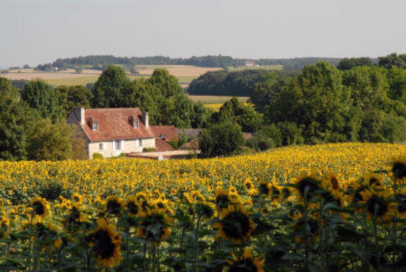 4 Bedroom Farm House For Sale - 2