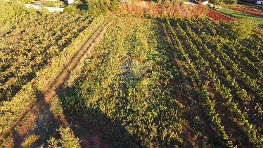 Istra, Kaštelir- Građevinsko zemljište sa pogledom na more - 3