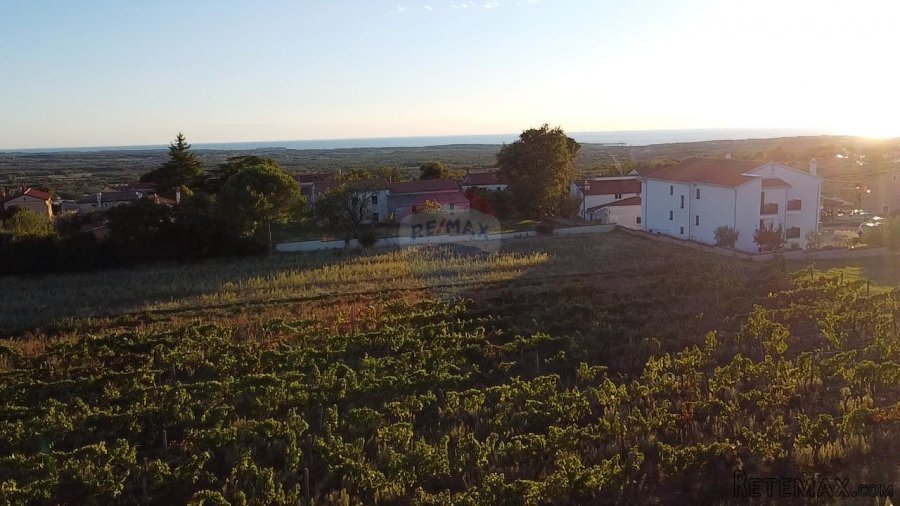 Istra, Kaštelir- Građevinsko zemljište sa pogledom na more - 8