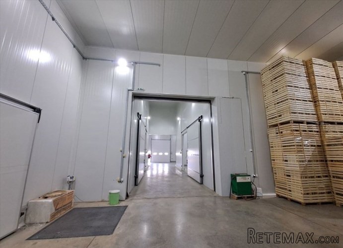 Hladnjača od 1000m2 Čačak-Viljuša - 11