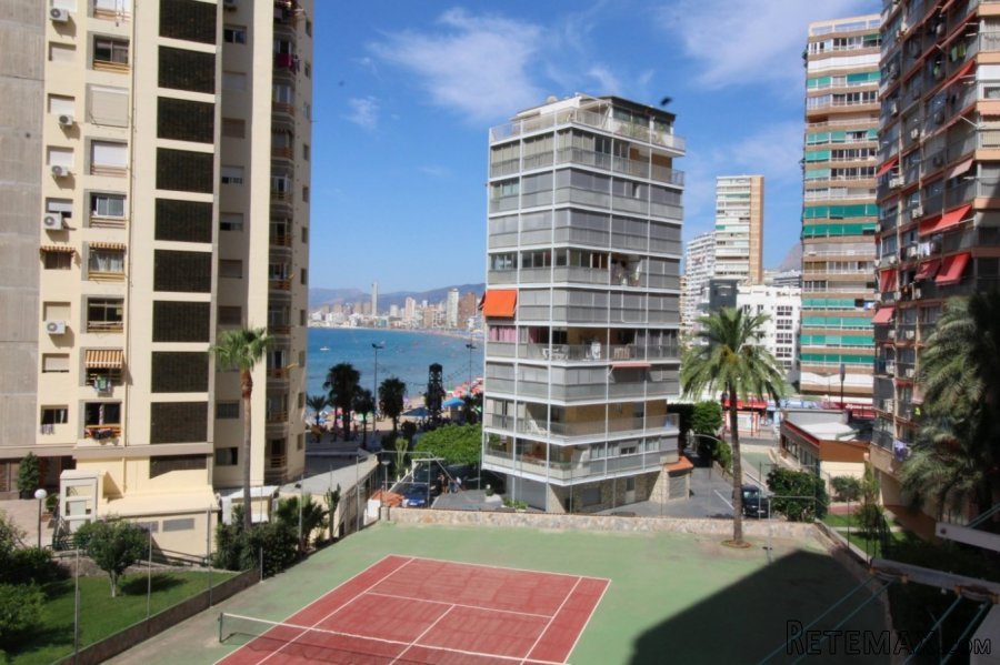 Recién reformado con 1 dormitorioEstudio en Benidorm zona..