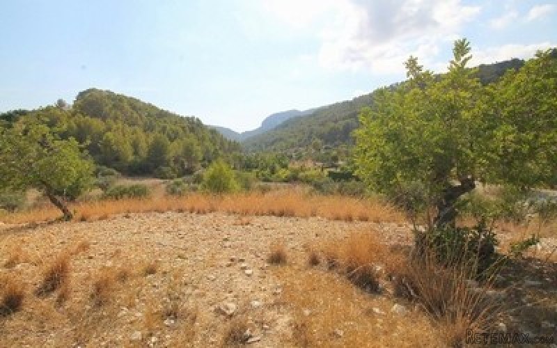 A 15,300m2 plot for sale in the..