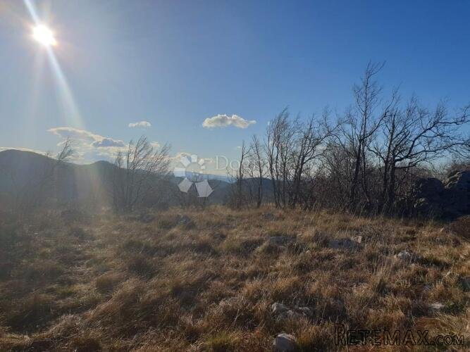 20.000 m2 zemljište Hreljin - 2