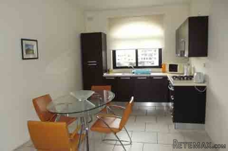 Flat, Luxurious Finish - 2