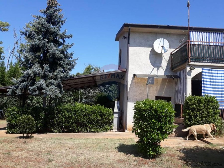 Prodaje se velika kuća sa velikom okućnicom u okolici Umaga - 2