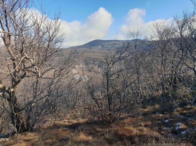20.000 m2 zemljište Hreljin - 3