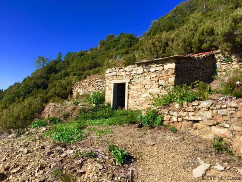 Barn Mare Immenso