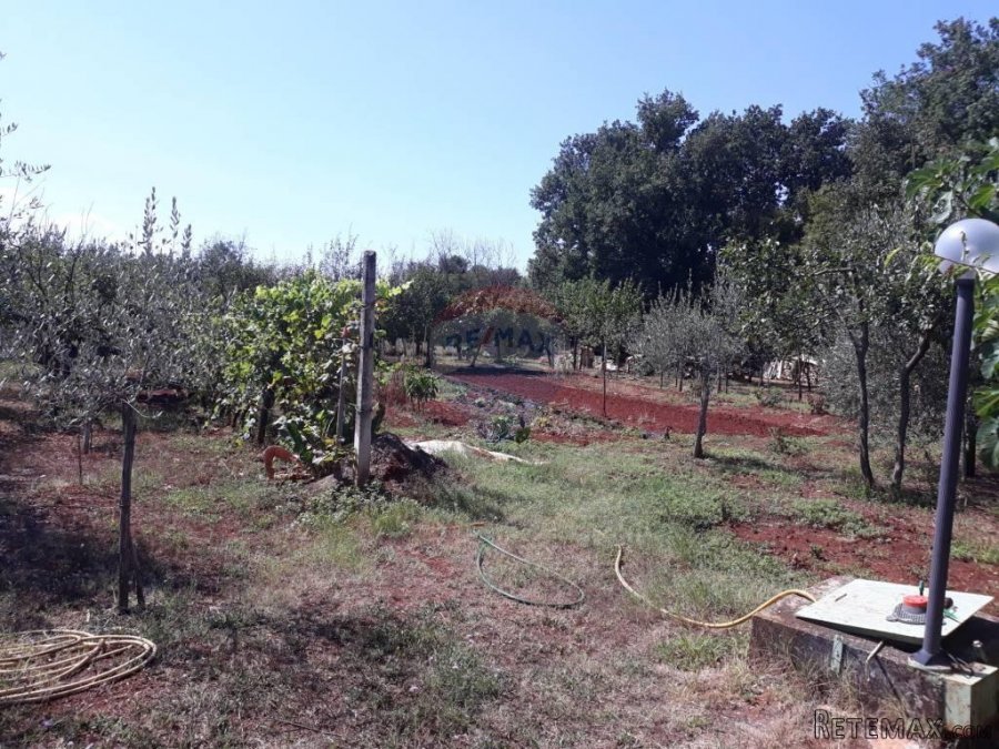 Prodaje se velika kuća sa velikom okućnicom u okolici Umaga - 4