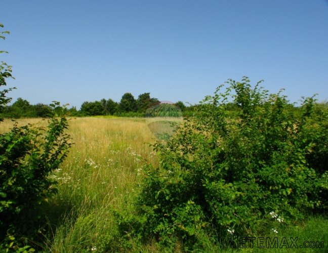 ISTRA, OKOLICA MUNTRILJA, GRAĐEVINSKO ZEMLJIŠTE 2760 M2 - 3