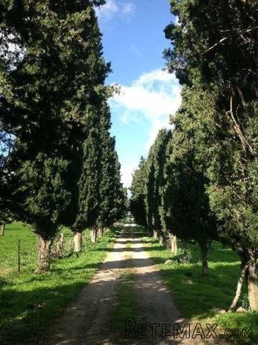 One of the most ancient possessions of Mallorca is located..