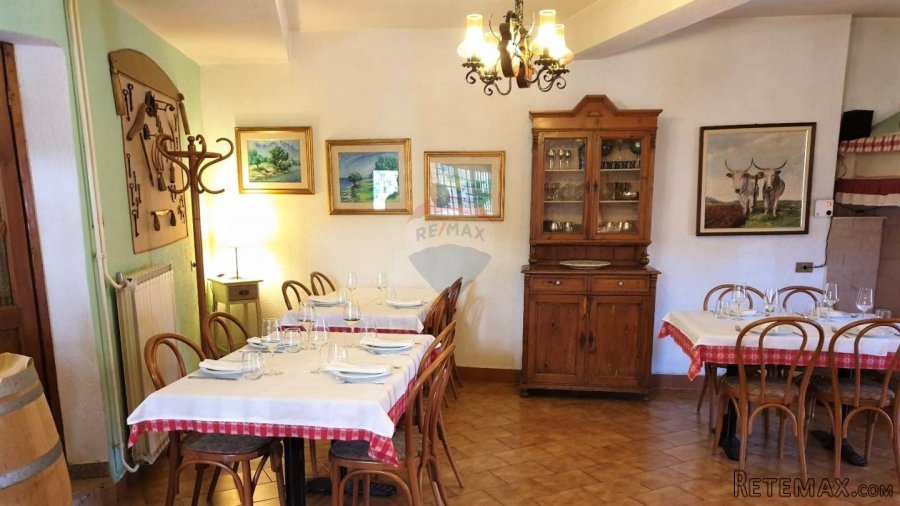 Istra, Umag, kuća i konoba - 8