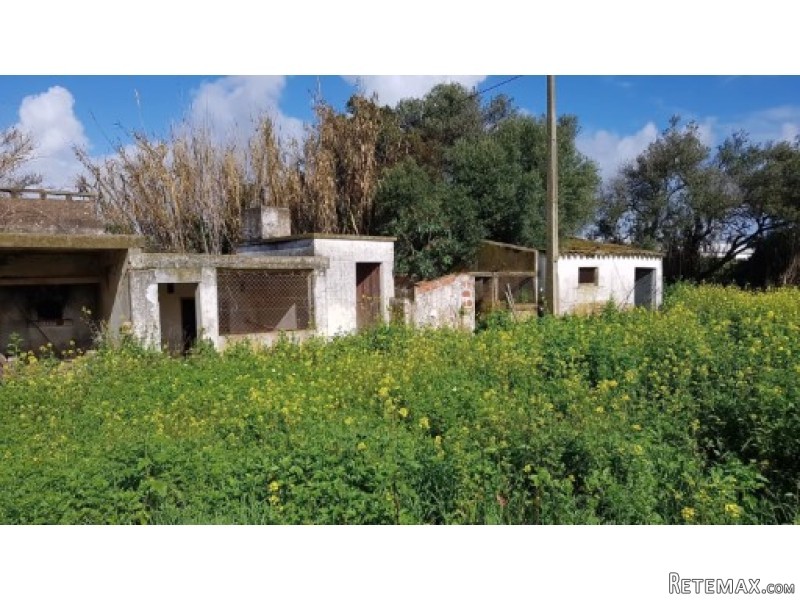 Large Flat Plot Which Lots Of.. - 2