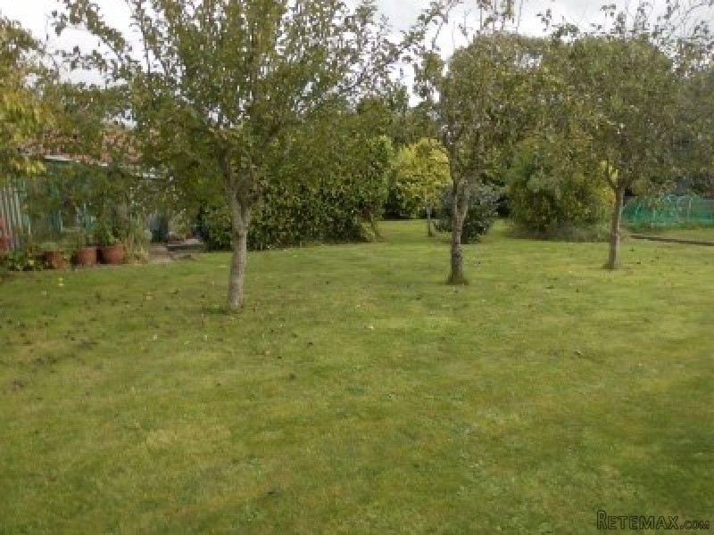 Traditional House with Nice Garden - 2