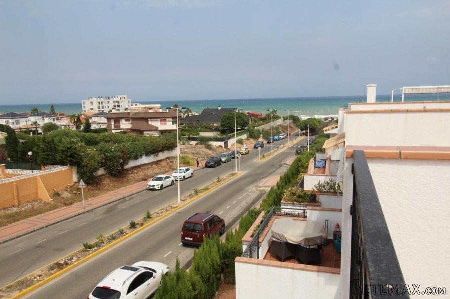 Bungalow Planta Alta en Torrevieja zona Cabo Cervera, a.. - 3