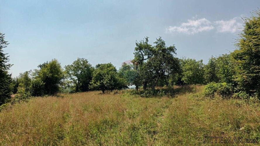 Gorski kotar, Plemenitaš - veliko zemljište, 7484 m2 - 3