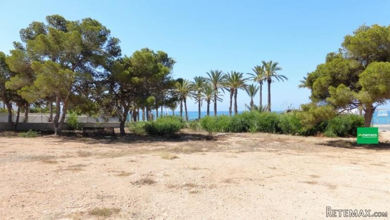 - Land - Murcia - For Sale - 2