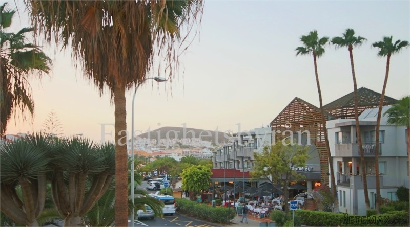 Los Cristianos | Teneriffa - 2