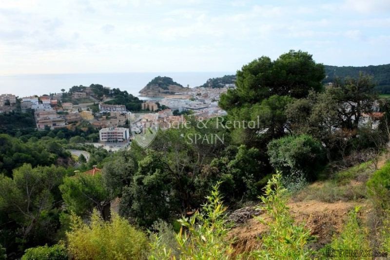 Fantastic Plot In The Village Of Tossa.. - 2
