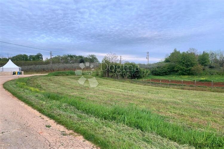 VIŽINADA – parcela na rubu sela okružena maslinicima - 2