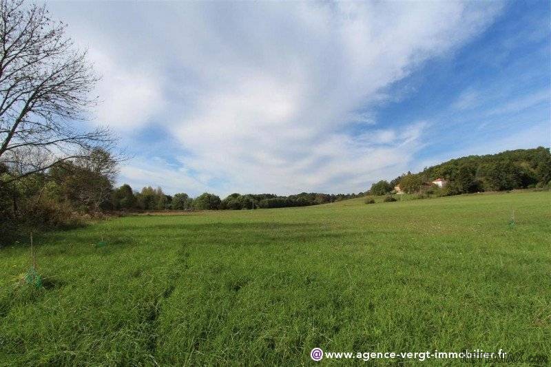 Ref 26219 : Terrain Plat De 1.6ha - 2