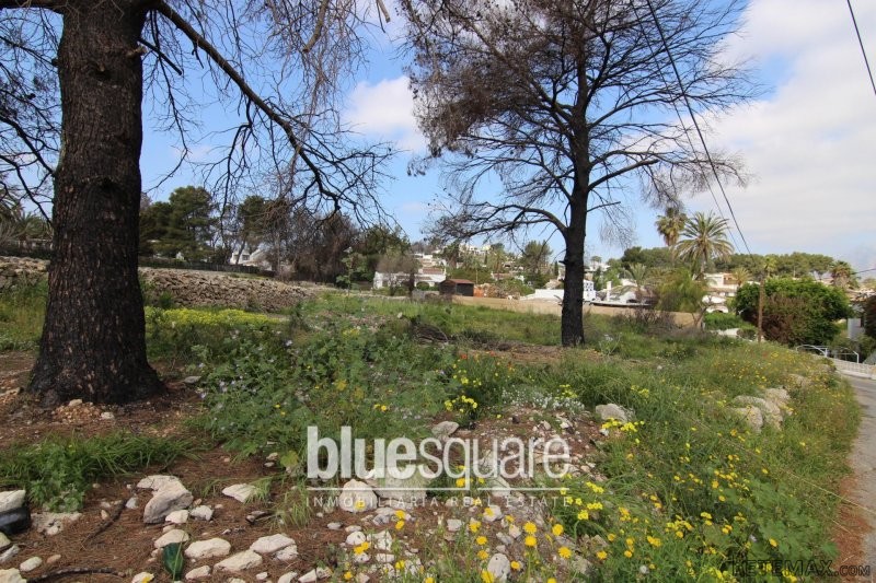 Nice plot for sale with sea views in..