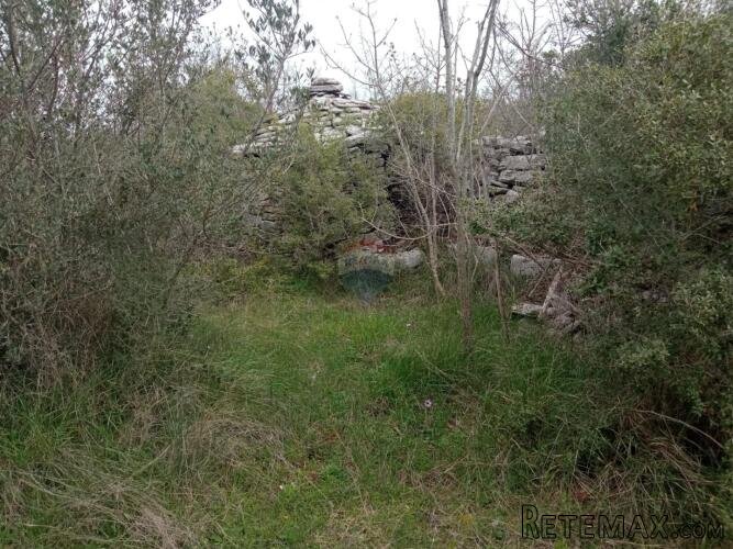 Istra, Vodnjan poljoprivredno zemljište 5463m2 - 3