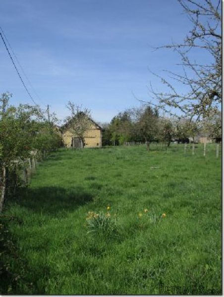 Neat Countryside House and Garden - 2