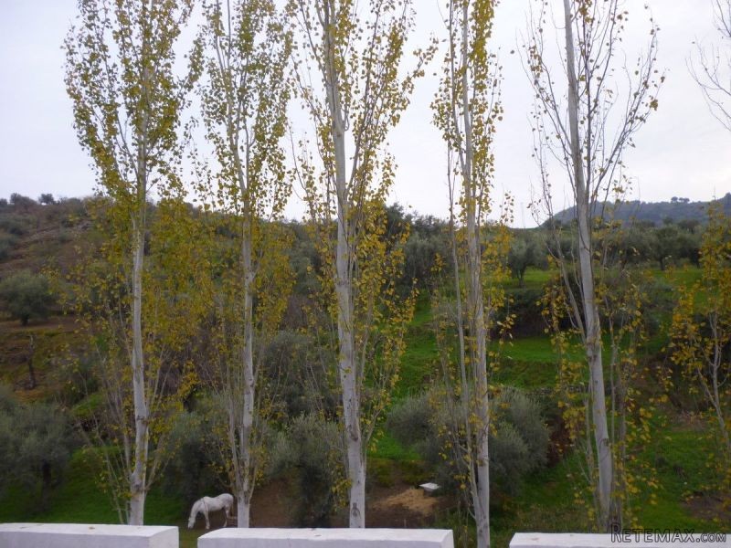 2 Bedrooms - Town House - Malaga - For.. - 2