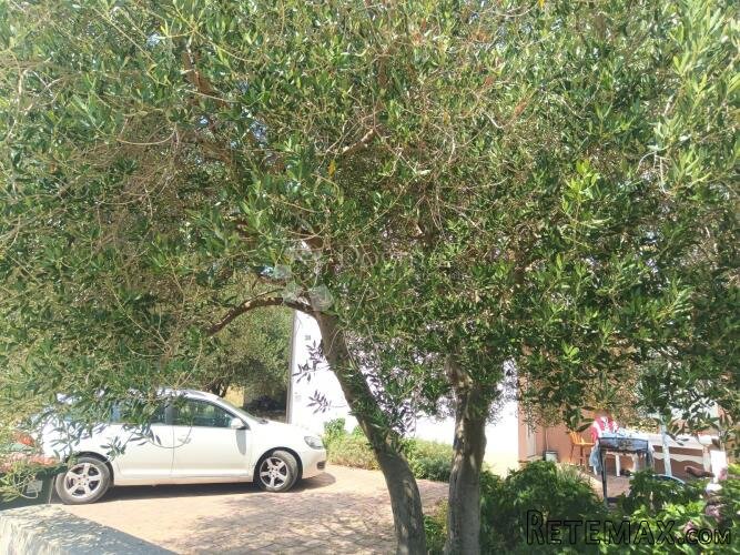 četiri apartmana - 200m od mora - 3
