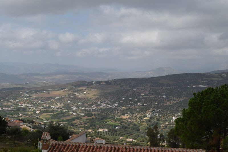Town House for Sale in Alcaucin..