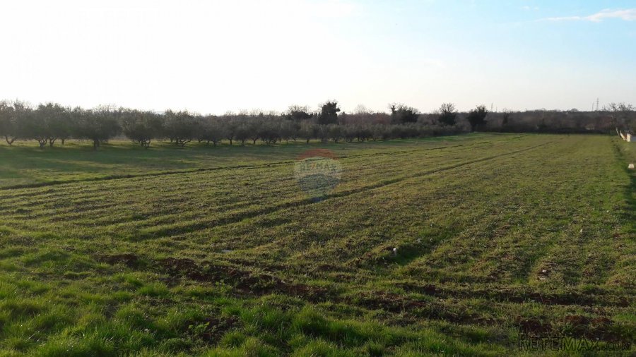 ISTRA,SMOLJANCI,GRAĐEVINSKO ZEMLJIŠTE