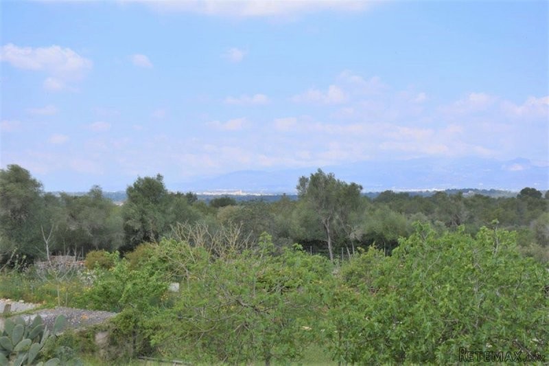Finca close to Sineu, surrounded by an.. - 2