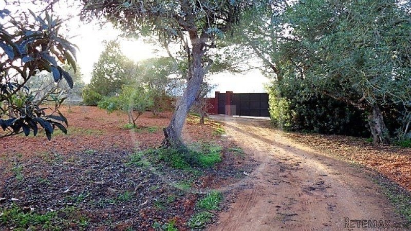 Finca with country views - 2
