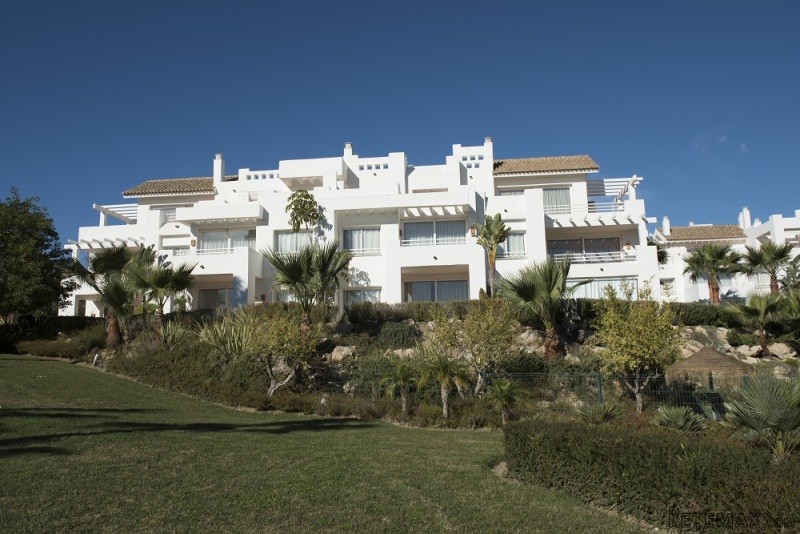 3 bedroom apartments