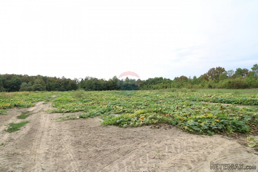 Hrebinec, građevinsko zemljište 11312 m2 - 2