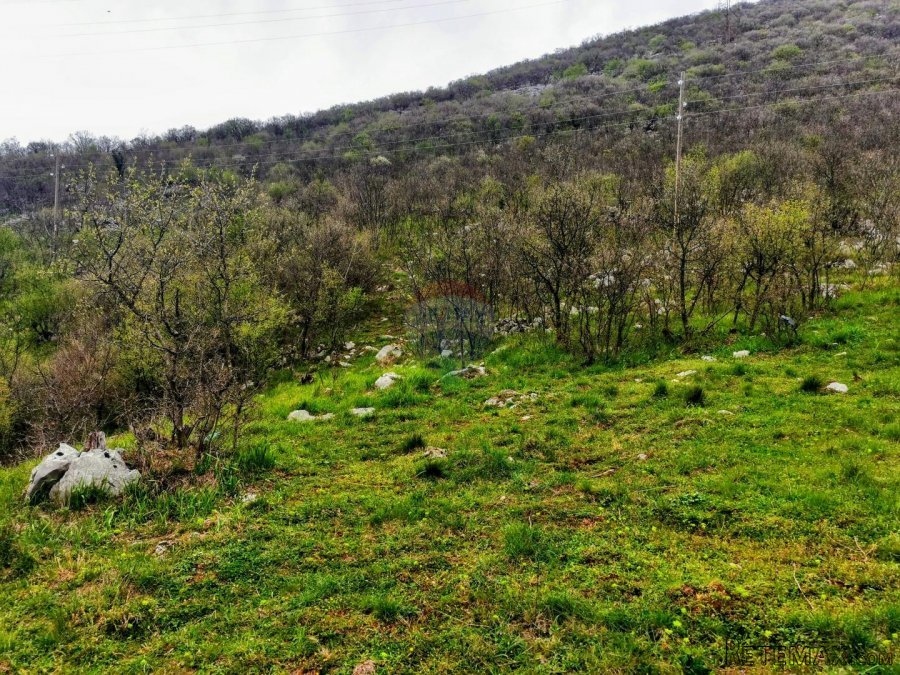 Bakar, Škrljevo, zemljište veličine 8096m2, cca 2500m2 građe - 3