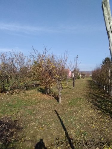 Na prodaju vikendica u Mandjelosu-Sremska Mitrovica - 16