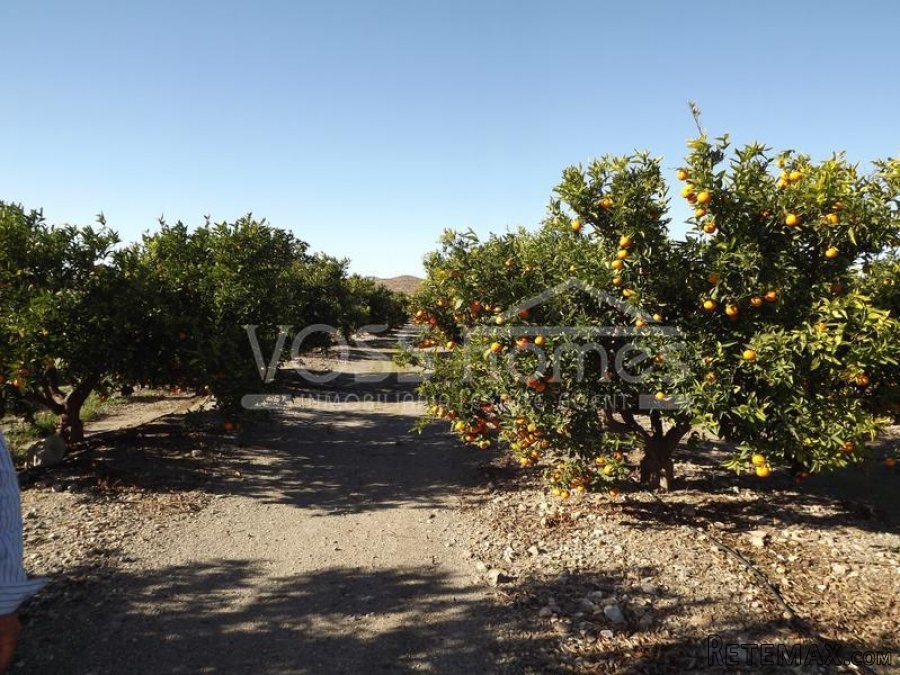 Large approx 20,000m2 plot of rustic land with agricultural..