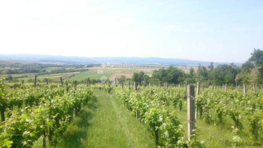KUTJEVO - BAJKOVITO IMANJE VELIKOG POTENCIJALA - 2