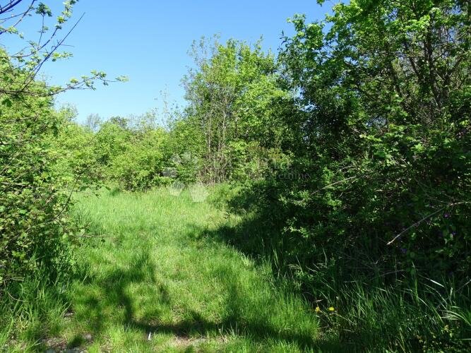 Ročko Polje - građevinska parcela sa starinom - 2