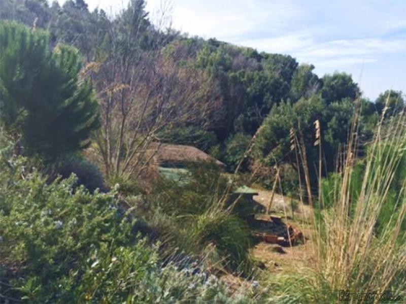 Property - Tuscany - For Sale - 2