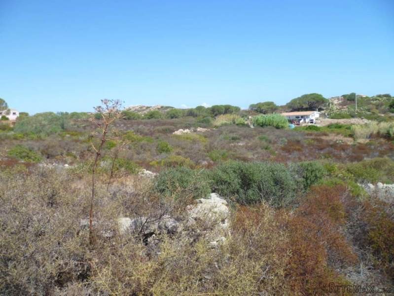 - Land - For Sale - 2