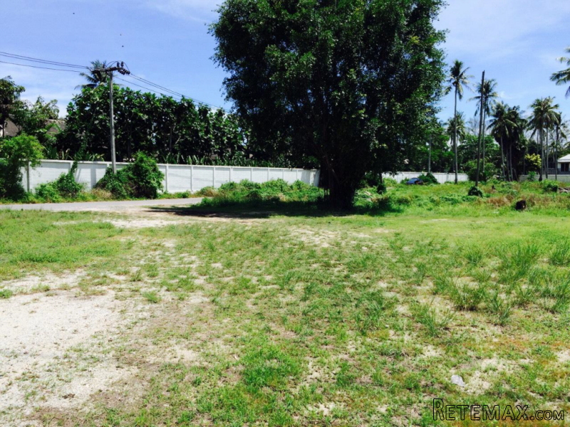 Beachside 29+ Rai Flat Land in Mai Khao - 2